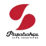 Paşabahçe