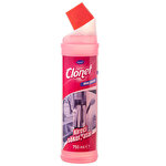 Dıversey Clonet Kireç Sökücü 750 ml