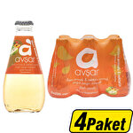Avşar Düşes Armudu & Nektarin Aromalı Maden Suyu 24 x 200 ml