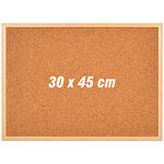 Avansas Mantar Pano Ahşap Çerçeve 30 cm x 45 cm Avansas Mantar Pano Ahşap Çerçeve 30 cm x 45 cm