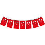 Türk Bayrağı İpli 6 cm x 11 cm  50'li Paket