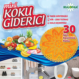 Rulopak Mini Pisuvar Mango Kokulu Koku Giderici 28 gr buyuk 3