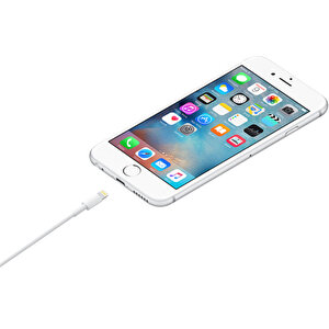  Apple Lightning 0.5 m ME291ZM/A Data ve Şarj Kablosu - Apple Türkiye Garantili buyuk 2