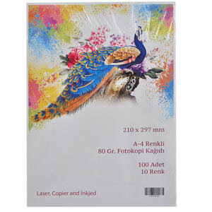 10 Renk  A4 Fotokopi Kağıdı 80 gr 1 Paket (100  adet)