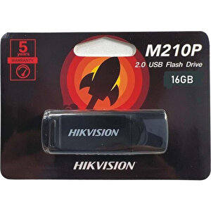 Hikvision 128 GB HS-USB-M210P-128G USB Bellek buyuk 3