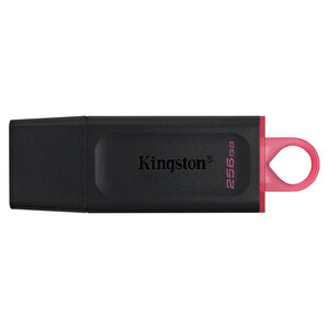 Kingston DTX256GB 256 GB USB 3.2 Flash Bellek buyuk 1