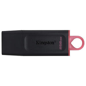 Kingston Exodia 256 GB Flash Bellek DTX/256GB