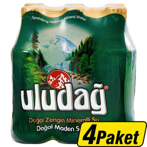 Uludağ Doğal Maden Suyu 24 x 200 ml