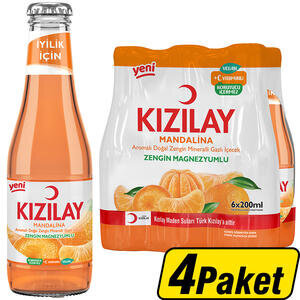 Kızılay C Vitaminli Mandalina Aromalı Maden Suyu 24 x 200 ml