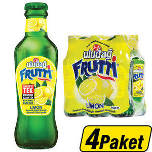 Uludağ Frutti Limon 24 x 200 ml