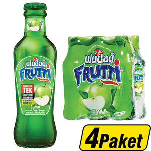 Uludağ Frutti Elma 24 x 200 ml