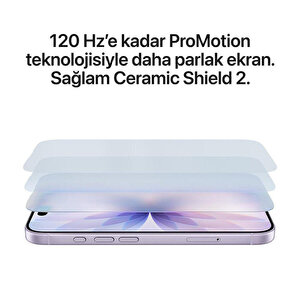 Apple iPhone 17 256GB Siyah - Apple Türkiye Garantili Fiyatı | Avansas