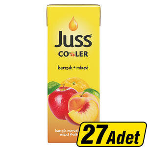 Juss Cooler Karışık Meyve Suyu 200 ml 27'li