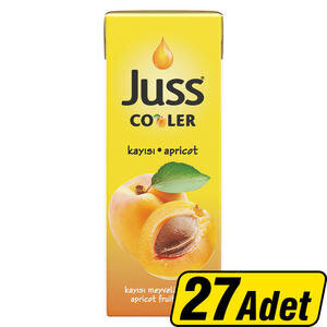 Juss Cooler Kayısı Meyve Suyu 200 ml 27'li