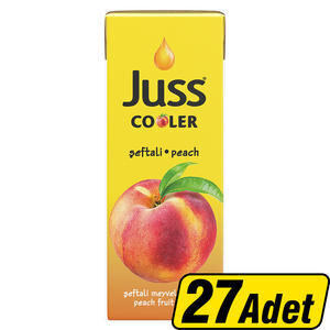 Juss Cooler Şeftali Meyve Suyu 200 ml 27'li