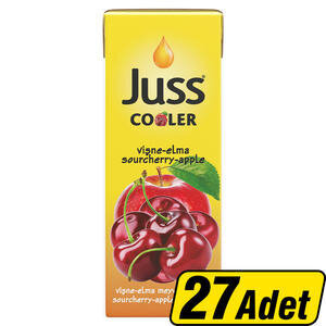 Juss Cooler Elma-Vişne Meyve Suyu 200 ml 27'li
