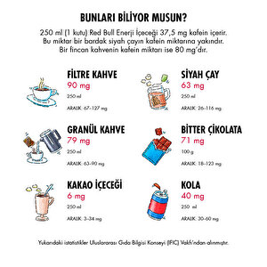 Red Bull Enerji İçeceği 250ml 4'lü Özel Fiyatlı Ürün buyuk 3