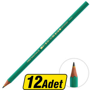 Bic Eco Evolution 650 HB Kurşun Kalem 12'li Paket
