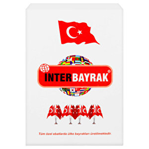 İnter İnt-b005 Türk Bayrağı 60 cm x 90 cm buyuk 2