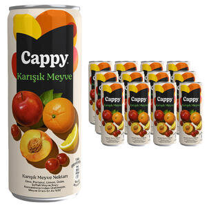 Cappy Kutu Karışık Meyve Suyu 330 ml 12'li