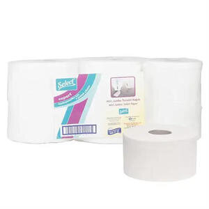 Select Expert Mini Jumbo Tuvalet Kağıdı 300 Yaprak - 12'li
