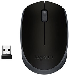 Logitech M171 USB Alıcılı Kablosuz Kompakt Mouse - Siyah buyuk 1
