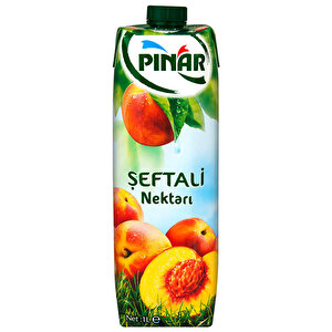 Pınar Meyve Suyu Şeftali 1 lt  buyuk 1