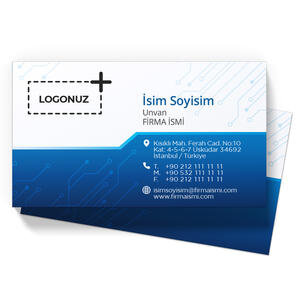 Bilişim Kartviziti (100 Adet)