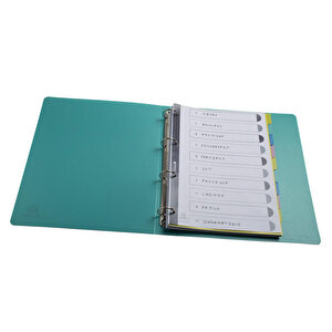 DIVIDERS FOREVER YOUNG PP A4 10 parts