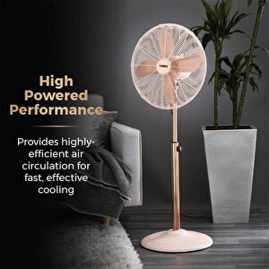 Tower Cavaletto 16"  Fan Chrome/Pink