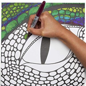 Sharpie Fine Perm Marker BK PK12