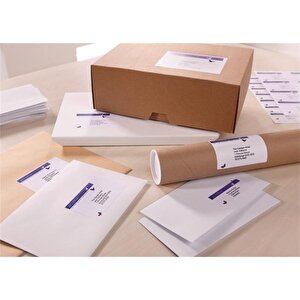 Inkjet Addressing lbls 99x139mm 100lbls