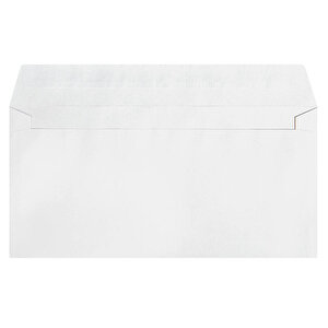 11x22 White Envelope 100gsm P&S PK25
