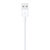 Apple Lightning - USB Kablosu (2 m) MD819ZM/A - Apple Türkiye Garantili kucuk 4