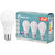 Akkurtlar Led Ampül 4000 Gün Işığı 9 Watt - 60 Watt  3'lü Paket
