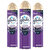 Glade Aerosol Lavanta Ferahlığı 300 ml x 3 Adet Çok Al Az Öde