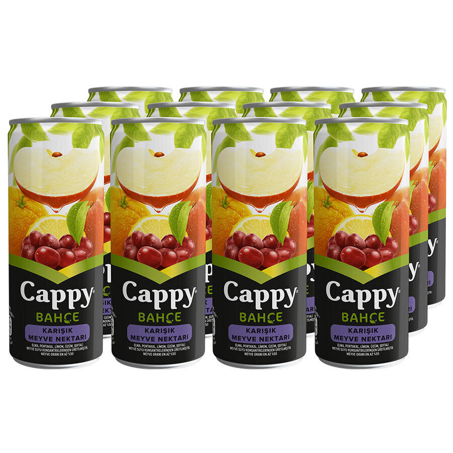 Cappy Karışık Nektar 250 ml 12'li Paket Fiyatı | Avansas